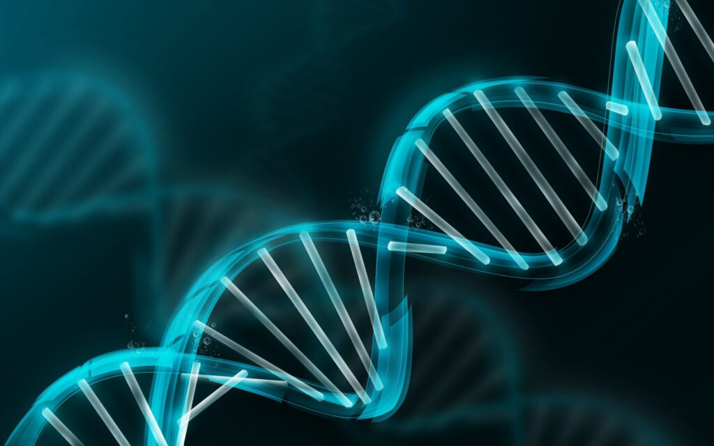 DNA relationship tests